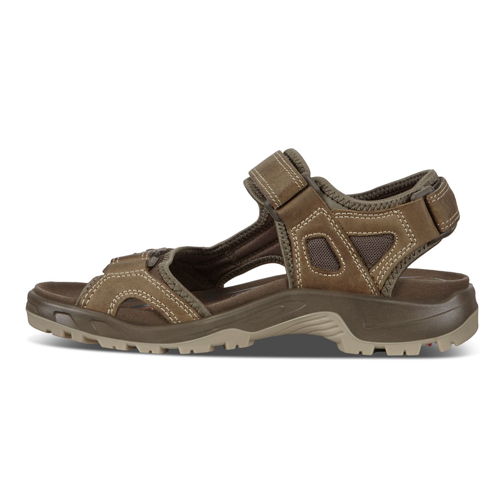 ECCO Mens Sandals Brown - Yucatan - JUI-142780